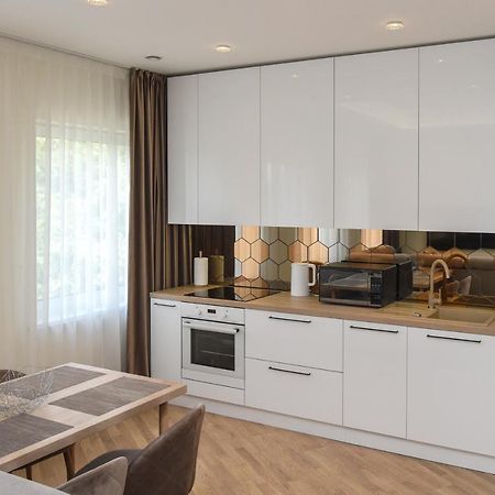 Roof Terrace Apartment Паневежис Екстер'єр фото